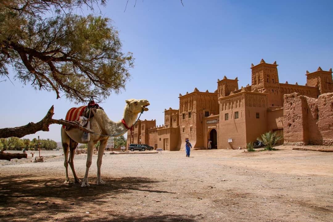 Kasbah Tiriguioute Hotel Skoura Exterior foto