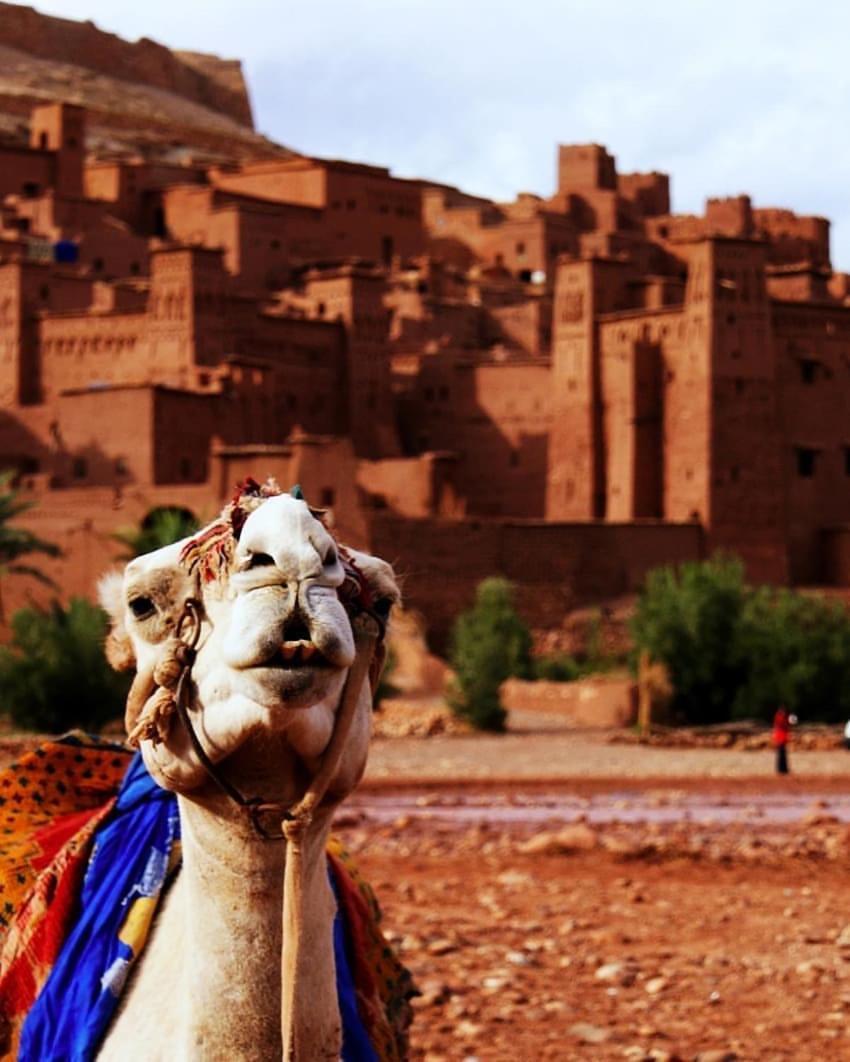 Kasbah Tiriguioute Hotel Skoura Exterior foto